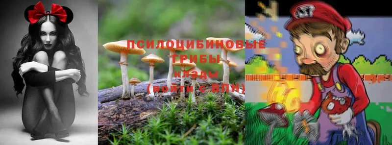 Галлюциногенные грибы MAGIC MUSHROOMS  Буинск 